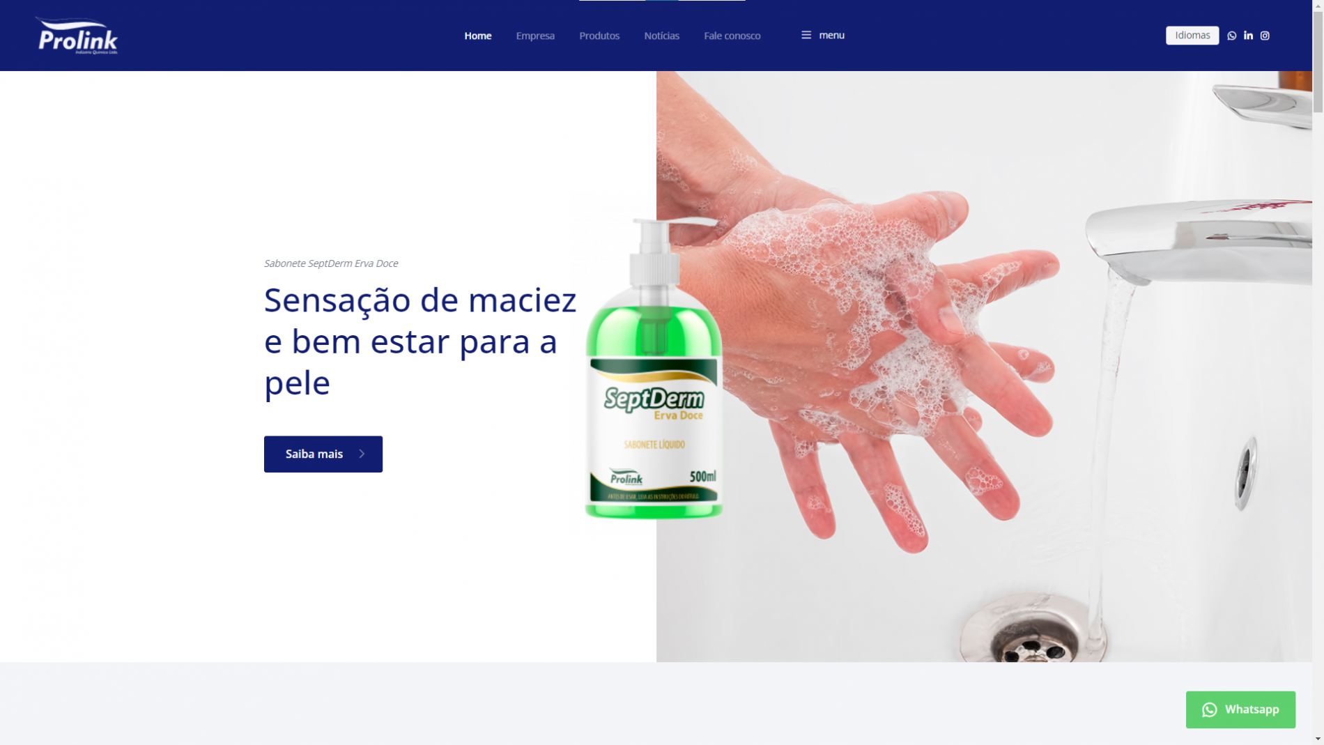 imagem 1 | site_institucional_prolink - Agência de criação de site é adequada para desenvolvimento web?